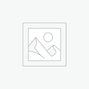 Stainless Steel Kettle